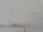 20160424_103522.jpg