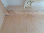 20160424_103721.jpg