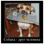 image (1).png