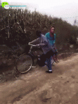 ровер2.gif