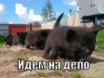 nkVW8DTdojU.jpg