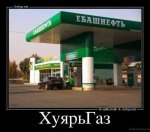 image (7).jpg