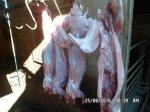 SAM_0904.jpg