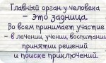image (4).jpg
