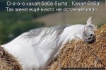 IMG_4554.JPG