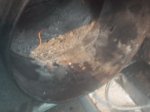 DSCN6104.JPG