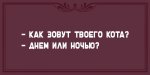 m7qMQJcJVpY.jpg