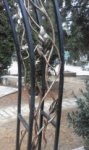 20161022_132645.jpg