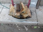 DSCN6115.JPG