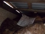 DSCN6130.JPG
