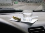 1374060697_tosty-na-den-avtomobilista.jpg