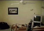 1477841186-2ec95d2f7f54d0a6336ec4e6265b492a.gif