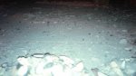 IMG_20161031_160551.jpg