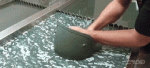 c1718dd567b20d97d088333c3ce00fe1.gif