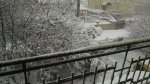 IMG_20161113_081145426.jpg