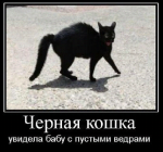 upload_2016-11-17_21-35-15.png