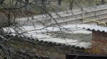 IMG_0243_.jpg