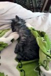 20161007_164343.jpg