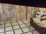 20161125_184356.jpg