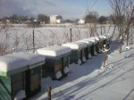 IMG_20161204_093826_2CS.jpg
