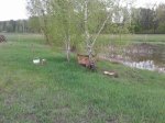 20140427_165443.jpg