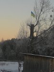 P_20161207_080226.jpg