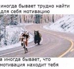 image (1).jpg