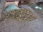 дрова3.JPG