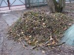 дрова2.JPG