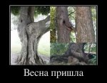 cf69f1f46967.jpg