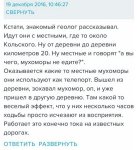 мухомор.jpg