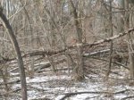 20161230_120617_HDR.jpg