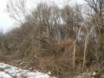 20161230_120910_HDR.jpg