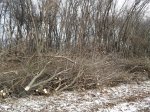 20161230_121034_HDR.jpg