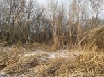 20161230_120413_HDR.jpg