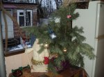 DSC07235 (Копировать).JPG