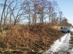 20170102_111138_HDR.jpg