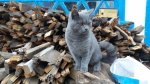 20161104_142249.jpg