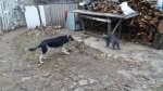 20161104_142216.jpg
