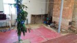 20170105_082628.jpg