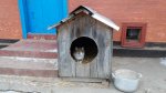 20170106_114041.jpg