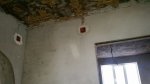 tmp-cam-32672984.jpg