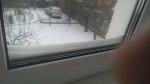 IMAG0209.jpg