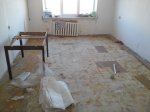 20160208_095639.jpg