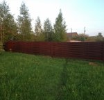 IMG_0393.JPG