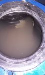 20170119_121316.jpg
