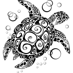 2e336146499ee9ff87e495a90484387d.png