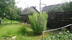 IMG_20160710_162148.jpg