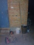 WP_000289.jpg