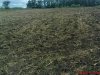 DSC01044.jpg